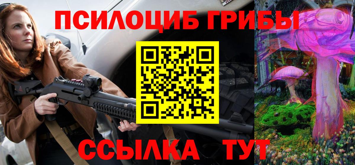 Лесосибирск  Галлюциногенные грибы Psilocybine cubensis  Вход с VPN 